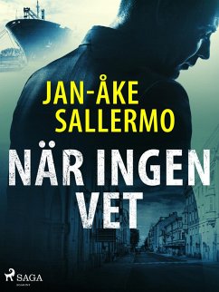 När ingen vet (eBook, ePUB) - Sallermo, Jan-Åke