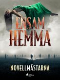 Ensam hemma (eBook, ePUB)