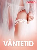 Väntetid - erotiska noveller (eBook, ePUB)