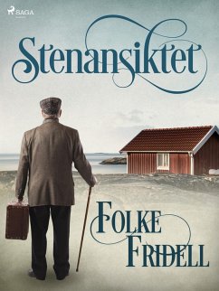 Cover Stenansiktet (eBook, ePUB)