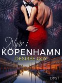 Nyår i Köpenhamn - erotisk romance (eBook, ePUB)