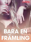 Bara en främling - erotiska noveller (eBook, ePUB)
