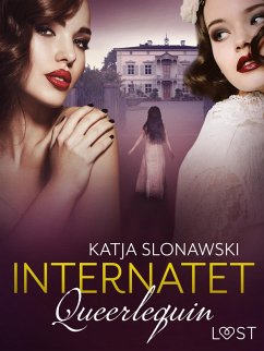 Queerlequin: Internatet (eBook, ePUB) - Slonawski, Katja