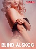 Blind älskog - erotisk novell (eBook, ePUB)
