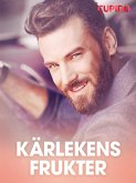 Kärlekens frukter - erotiska noveller (eBook, ePUB)