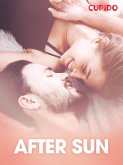 After sun - erotisk novell (eBook, ePUB)