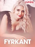 Fyrkant - erotisk novell (eBook, ePUB)