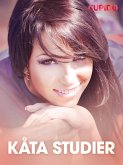 Kåta studier - erotiska noveller (eBook, ePUB)