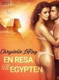 En resa till Egypten - erotisk novell (eBook, ePUB)