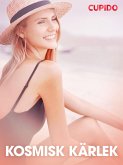 Kosmisk kärlek - erotiska noveller (eBook, ePUB)