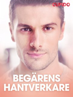 Cover Begärens hantverkare - erotiska noveller (eBook, ePUB)