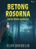 Betongrosorna och de falska nycklarna (eBook, ePUB)