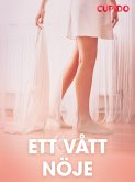Ett vått nöje - erotiska noveller (eBook, ePUB)