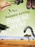 Bang bit för bit (eBook, ePUB)