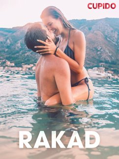 Cover Rakad - erotiska noveller (eBook, ePUB)