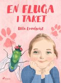 En fluga i taket (eBook, ePUB)