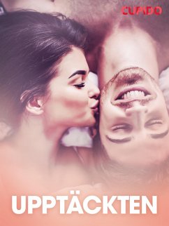 Cover Upptäckten - erotiska noveller (eBook, ePUB)