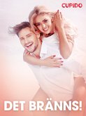 Det bränns! - erotisk novell (eBook, ePUB) Det bränns! - erotisk novell (eBook, ePUB)