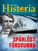 Spårlöst försvunna (eBook, ePUB)