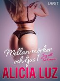 Mellan mörker och ljus 1: Jag vill ha honom - erotisk novell (eBook, ePUB)