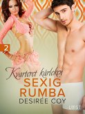 Kvarteret kärleken: Sexig rumba - erotisk novell (eBook, ePUB)