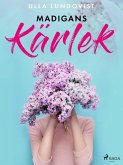 Madigans kärlek (eBook, ePUB)