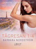 Tågresan 1-4 - en serie om erotiska tågresor (eBook, ePUB)
