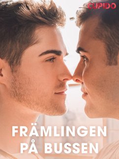 Cover Främlingen på bussen (eBook, ePUB)
