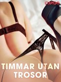 Timmar utan trosor (eBook, ePUB)