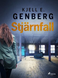 Cover Stjärnfall (eBook, ePUB)