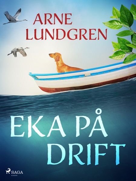Eka på drift (eBook, ePUB)