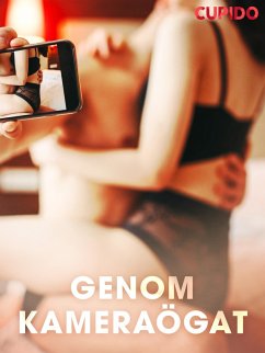 Cover Genom kameraögat (eBook, ePUB)