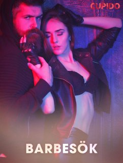 Cover Barbesök (eBook, ePUB)