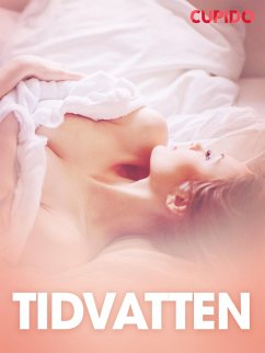 Cover Tidvatten - erotiska noveller (eBook, ePUB)