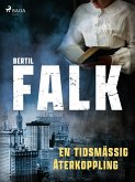 En tidsmässig återkoppling (eBook, ePUB)