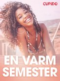 En varm semester - erotiska noveller (eBook, ePUB)