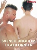 Svensk ungdom i Kalifornien (eBook, ePUB)