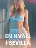 En kväll i Sevilla - erotiska noveller (eBook, ePUB)