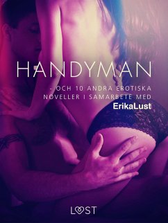 Handyman - och 10 andra erotiska noveller i samarbete med Erika Lust (eBook, ePUB) - Forfattere