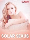 Solar Sexus - erotiska noveller (eBook, ePUB)