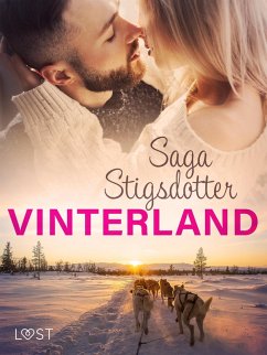 Cover Vinterland - Erotisk novell (eBook, ePUB)