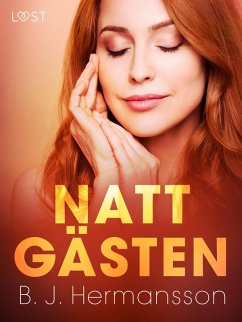 Cover Nattgästen - erotisk novell (eBook, ePUB)