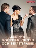 Den nya kollegan, chefen och sekreteraren (eBook, ePUB)