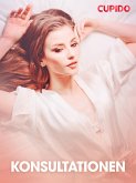 Konsultationen - erotiska noveller (eBook, ePUB)