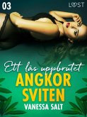 Angkorsviten 3: Ett lås uppbrutet (eBook, ePUB)