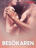 Besökaren - erotisk novell (eBook, ePUB)