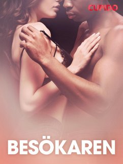 Cover Besökaren - erotisk novell (eBook, ePUB)