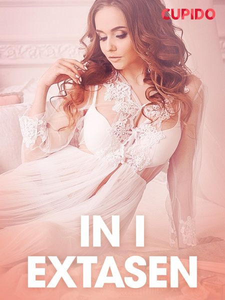 In i extasen - erotiska noveller (eBook, ePUB)