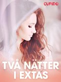 Två nätter i extas - erotiska noveller (eBook, ePUB)