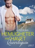 Queerlequin: Hemligheter vid havet (eBook, ePUB) Queerlequin: Hemligheter vid havet (eBook, ePUB)